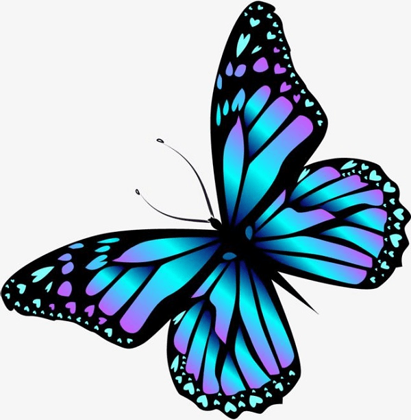 Beautiful Butterfly Drawing