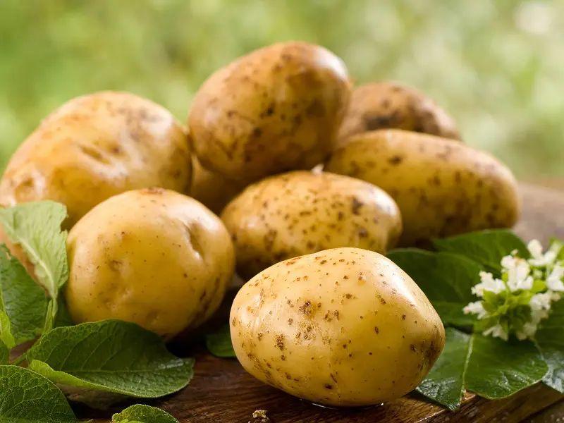 Potatoes Have Many Health Benefits.
