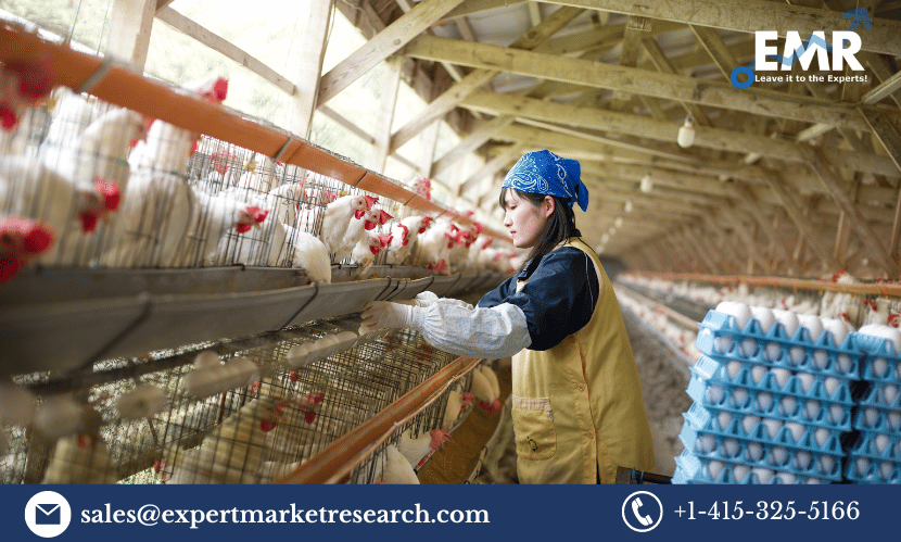 India Poultry Market